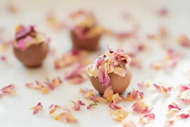 Ultra Casino Android/iOS Forrit